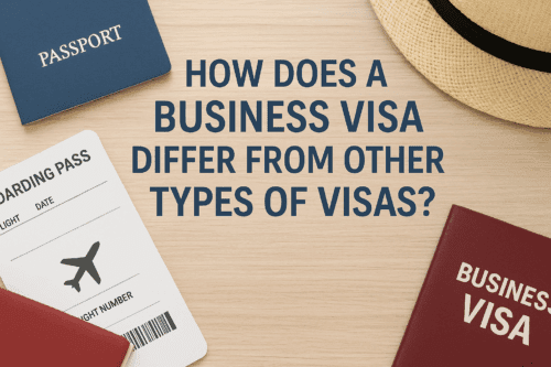 How does a business visa differ from other types of visas